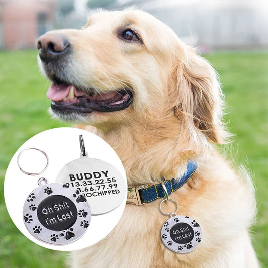 Personalized Metal Engraving Pet Cat Name - ProPawPet.com
