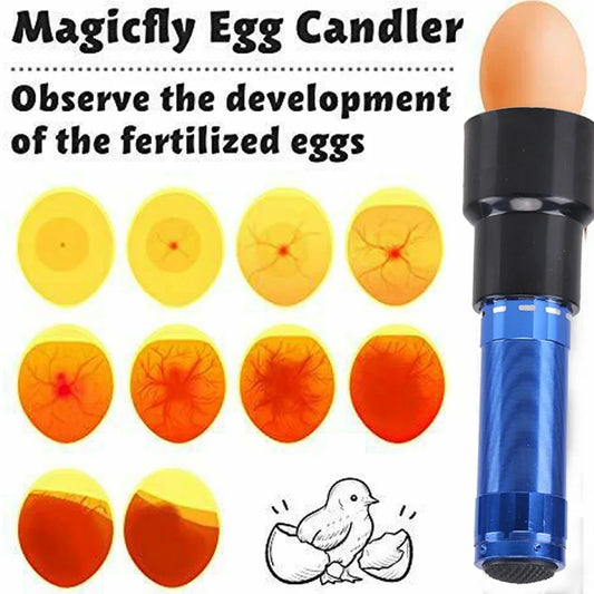 Incubator Eggtester Cool Light Candling Lamp - ProPawPet.com