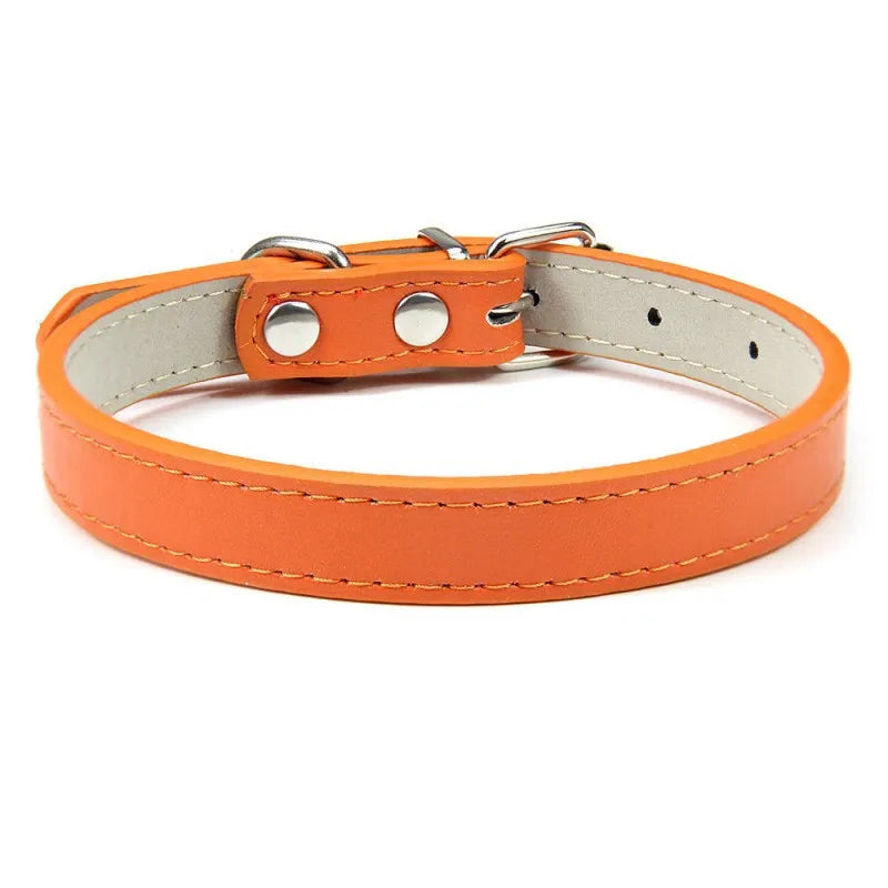 1PC Popular Adjustable Colorful Pet Collars - ProPawPet.com