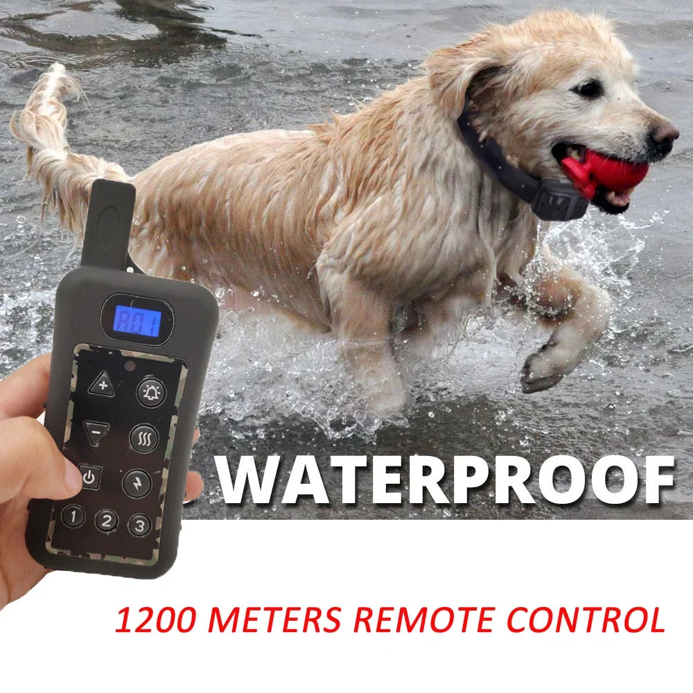 In-Ground Wired Electric DOG Fence Collar - ProPawPet.com