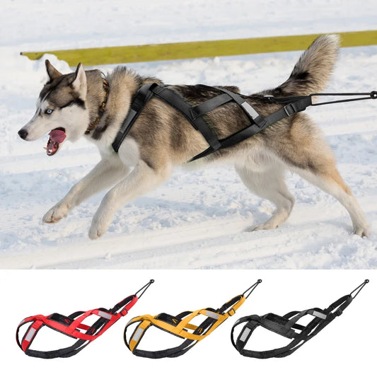 Waterproof Dog Sledding Harness Reflective - ProPawPet.com