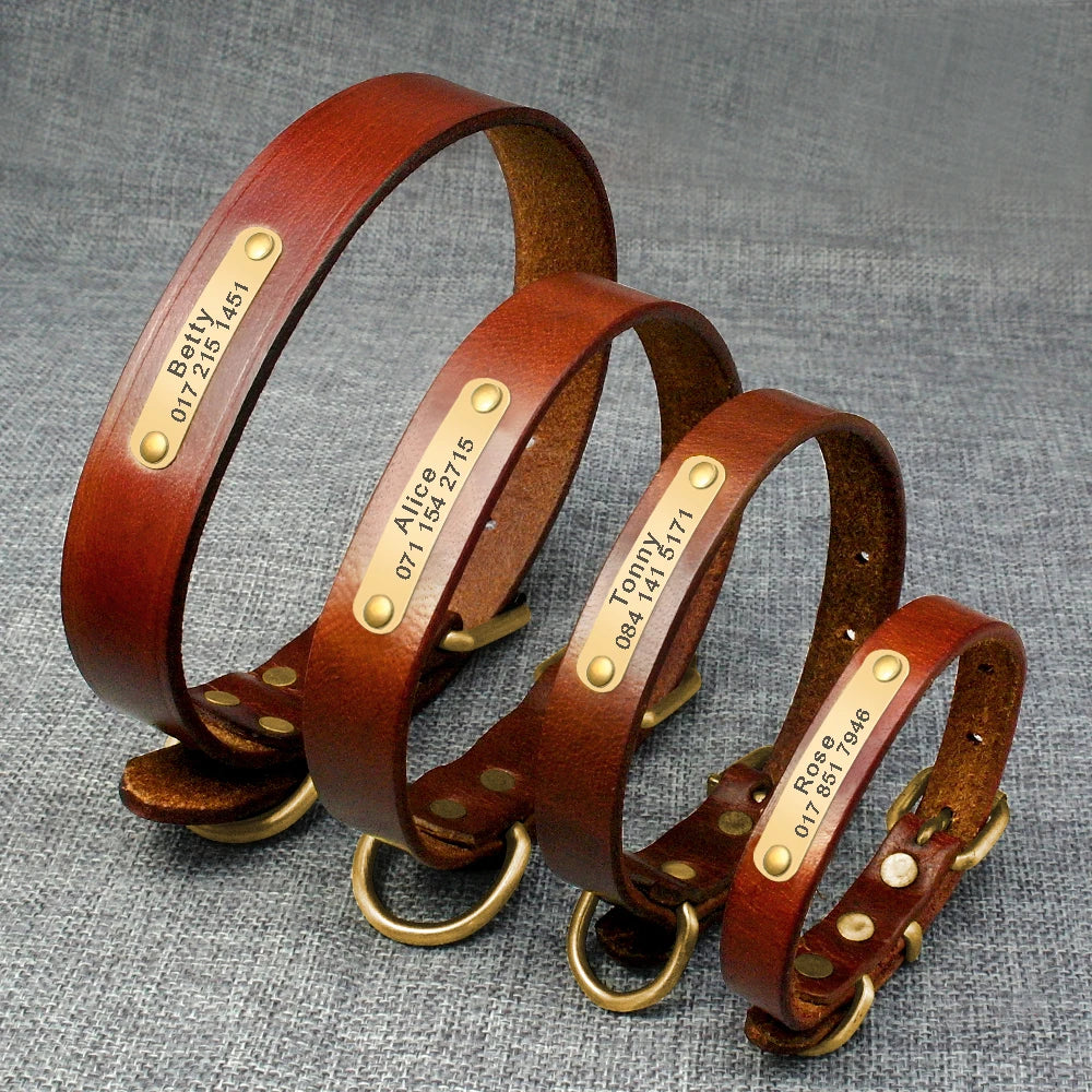 Personalized Dog ID Collar Genuine Leather - ProPawPet.com