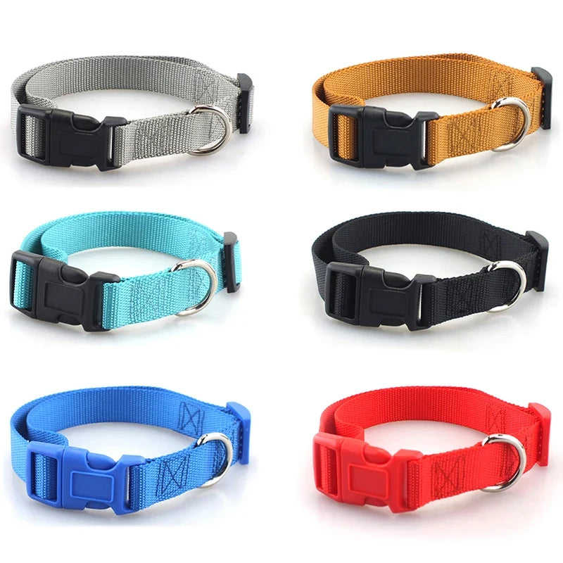Adjustable Superior Nylon Dog Collar Heavy - ProPawPet.com