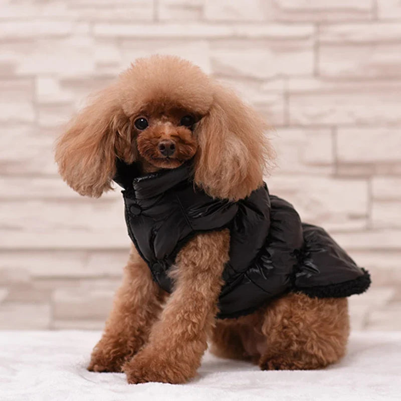 Classis Pet Dog Down Jacket for Small Dogs - ProPawPet.com