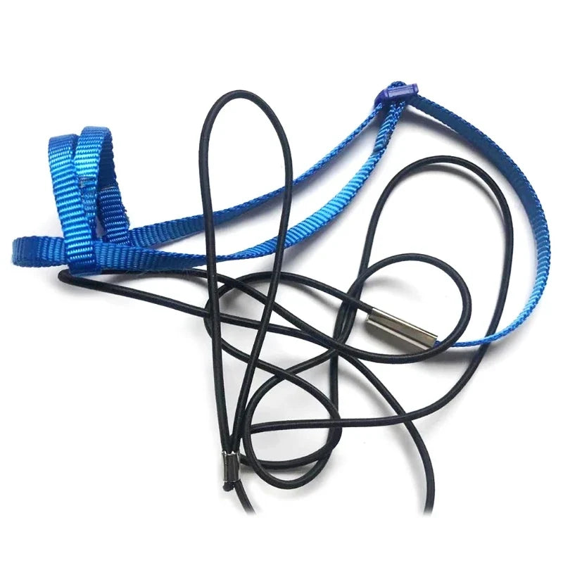 Parrot Bird Harness Leash Adjustable - ProPawPet.com