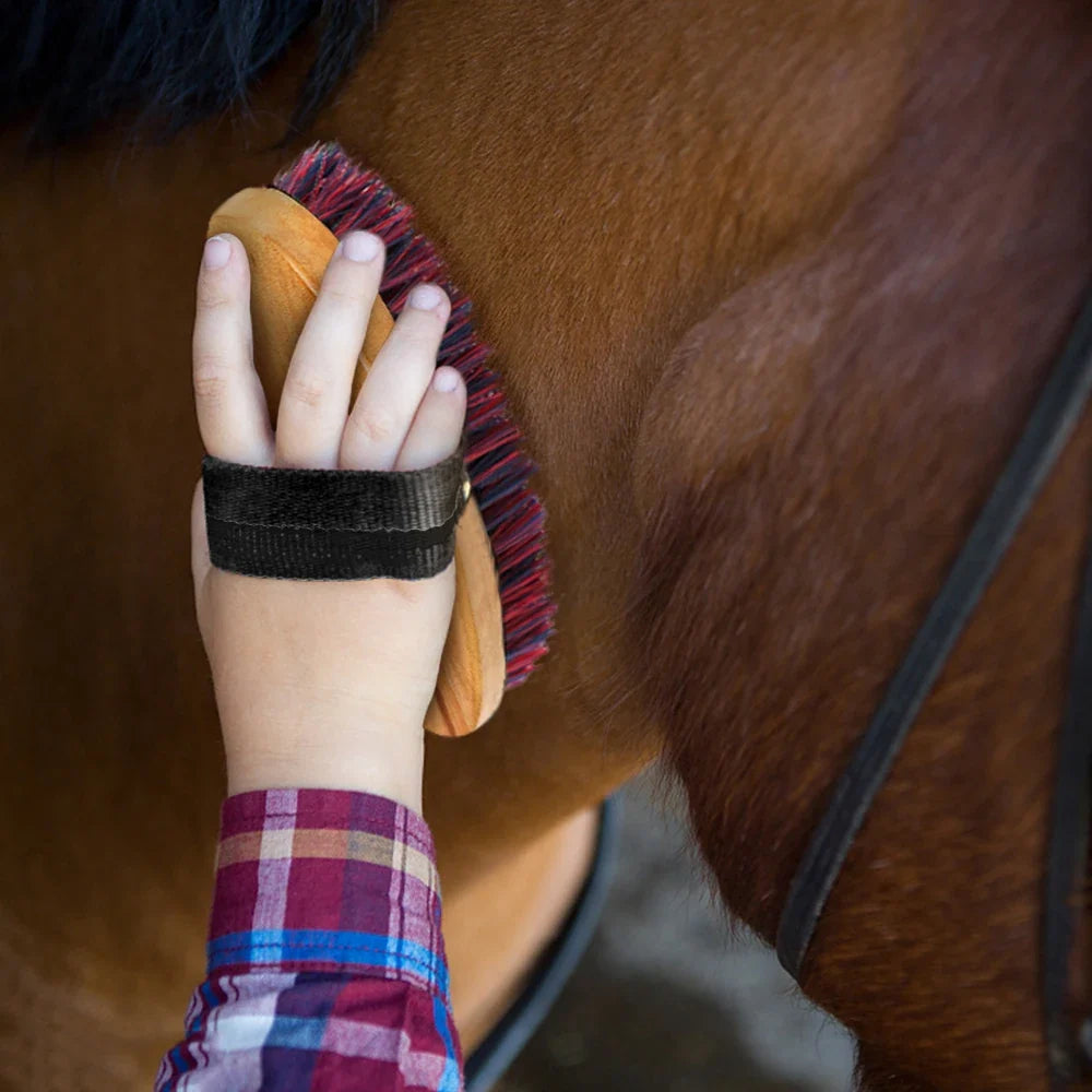 Horse Grooming Tool Set Cleaning Kit Horse - ProPawPet.com