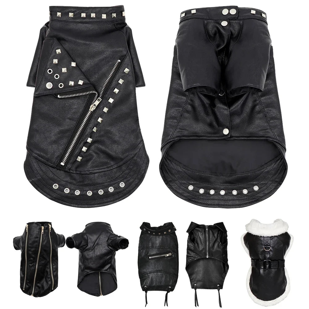 Cool Dog Leather Jacket Coat Warm Winter Pet - ProPawPet.com