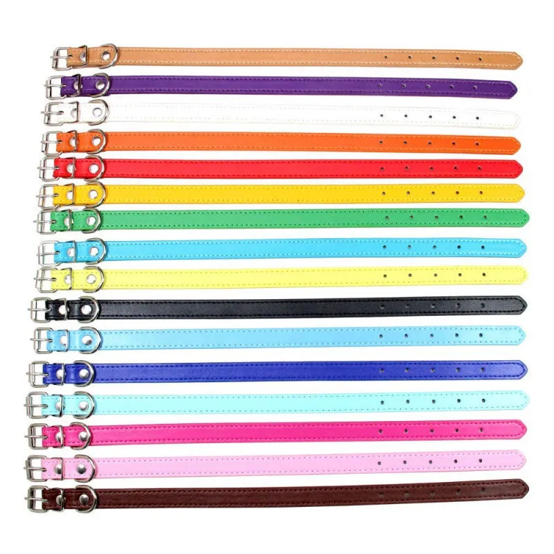 1PC Popular Adjustable Colorful Pet Collars - ProPawPet.com