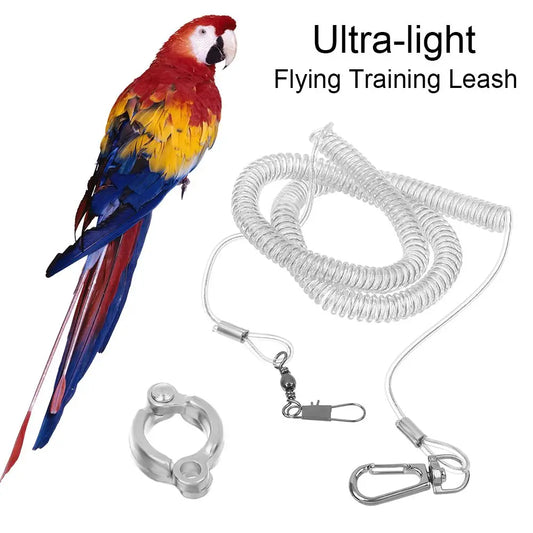 Parrot Bird Flying Training Leash - ProPawPet.com