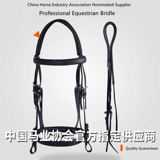 Cavassion Equestrian Professional Bridle - ProPawPet.com