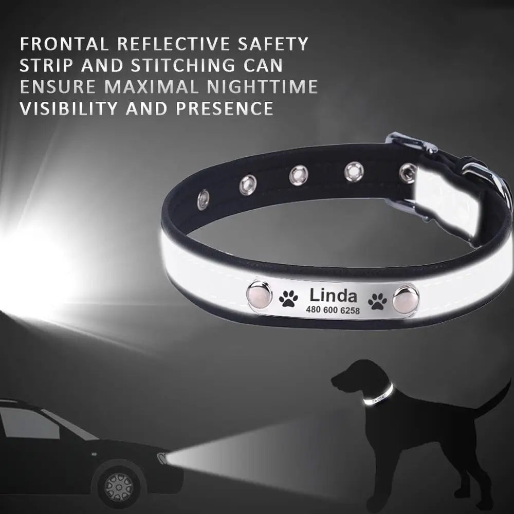 Personalized Dog Collar Leather Reflective - ProPawPet.com