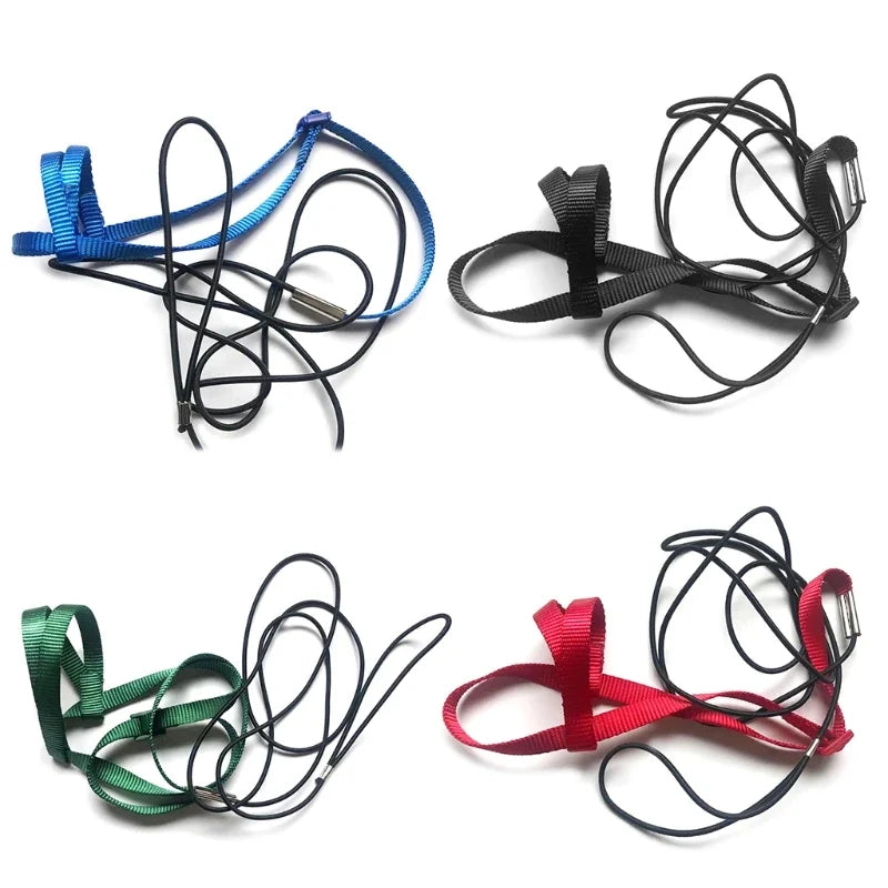 Parrot Bird Harness Leash Adjustable - ProPawPet.com