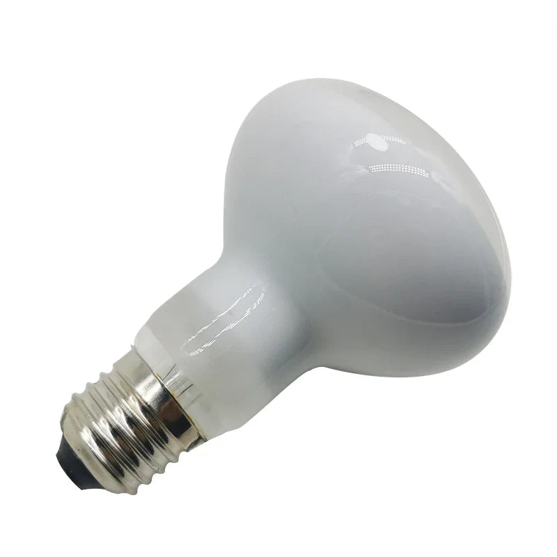1 Pcs Reptile Heating Lamp 220V Heater Bulb - ProPawPet.com