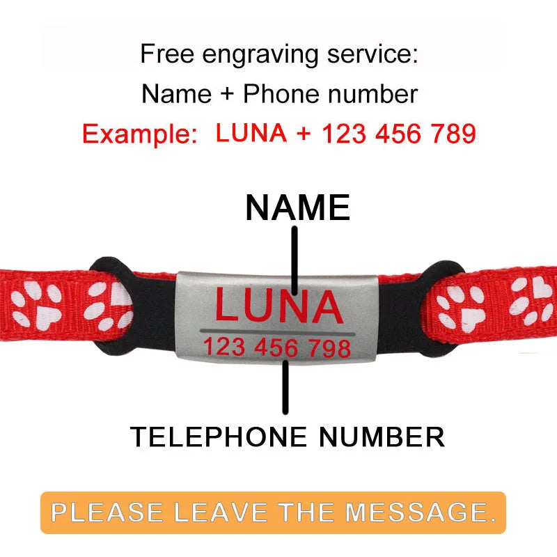 Cat Collar Custom Personalized ID Free - ProPawPet.com