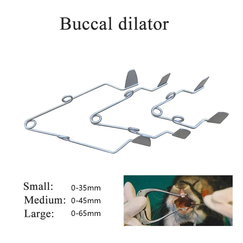 1PCS Lab Experiment Rodent Rat Rabbit Totoro - ProPawPet.com