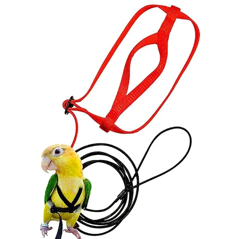 Parrot Bird Harness Leash Adjustable - ProPawPet.com