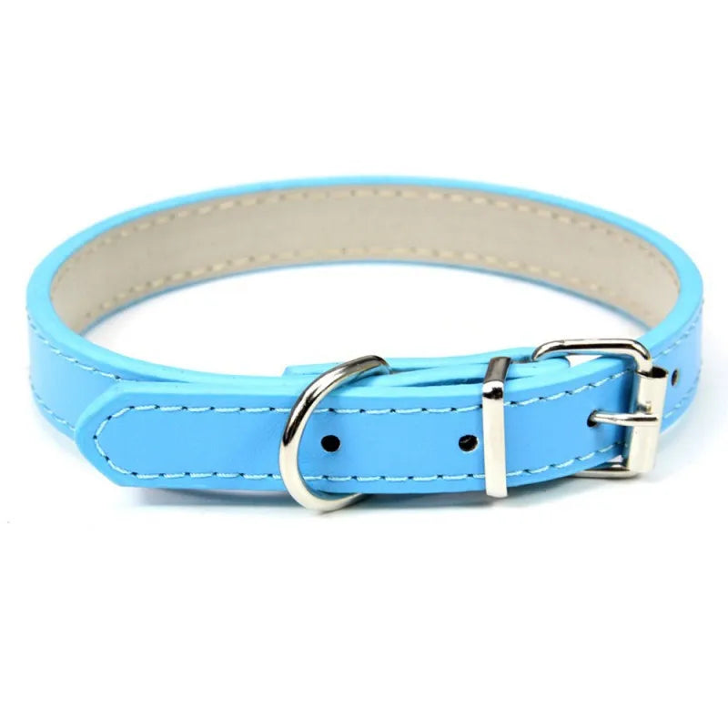 1PC Popular Adjustable Colorful Pet Collars - ProPawPet.com