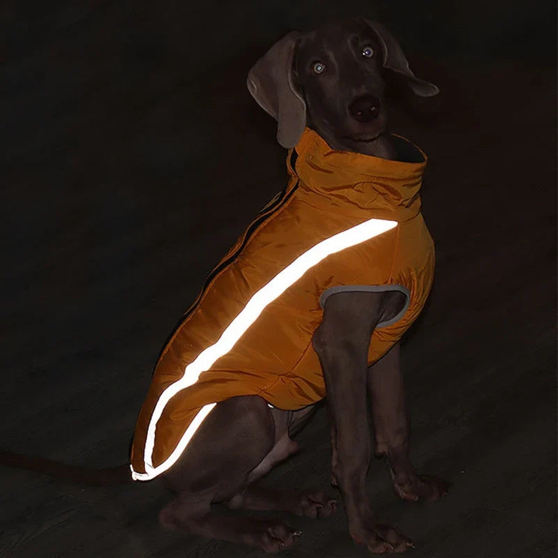 Reflective Pet Dog Clothes for Large Dogs - ProPawPet.com