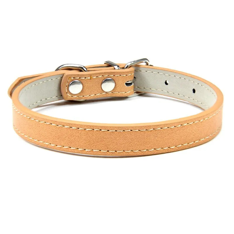 1PC Popular Adjustable Colorful Pet Collars - ProPawPet.com