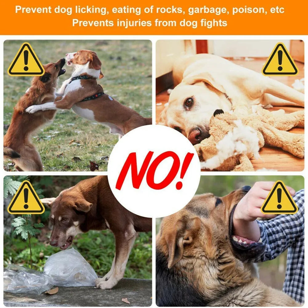 New Nylon Dog Muzzle Dogalter Dog Halter - ProPawPet.com