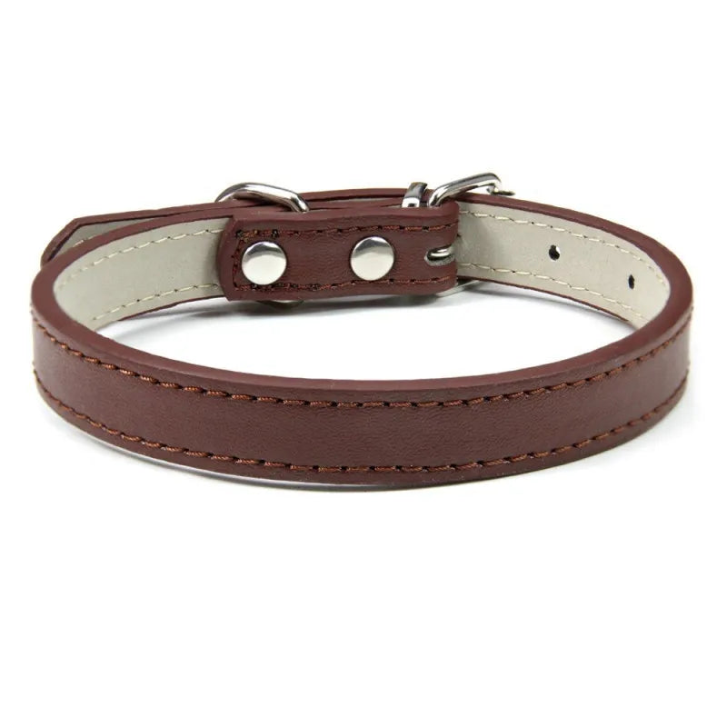 1PC Popular Adjustable Colorful Pet Collars - ProPawPet.com
