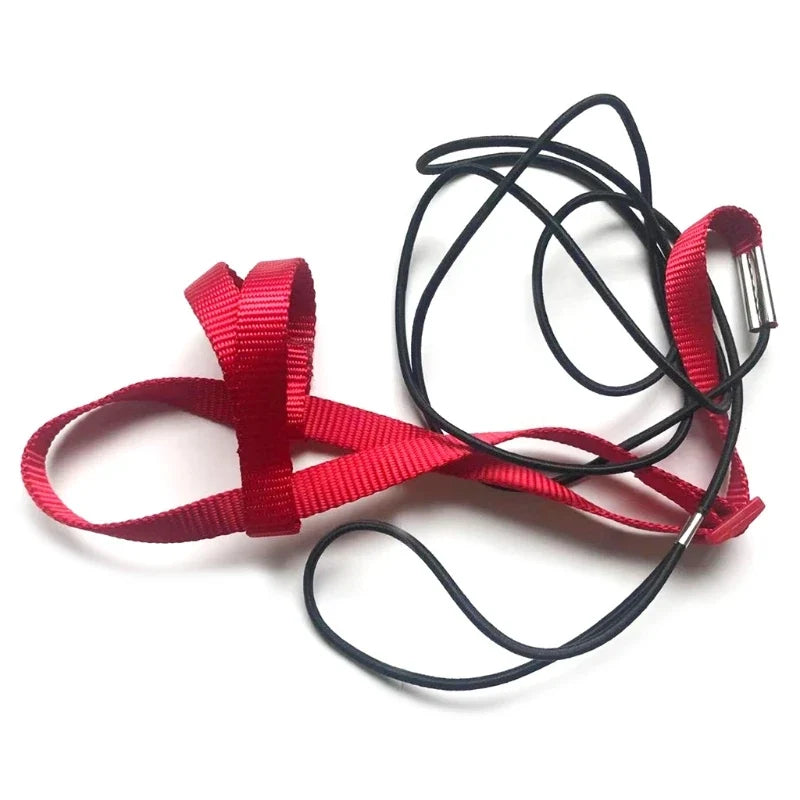 Parrot Bird Harness Leash Adjustable - ProPawPet.com