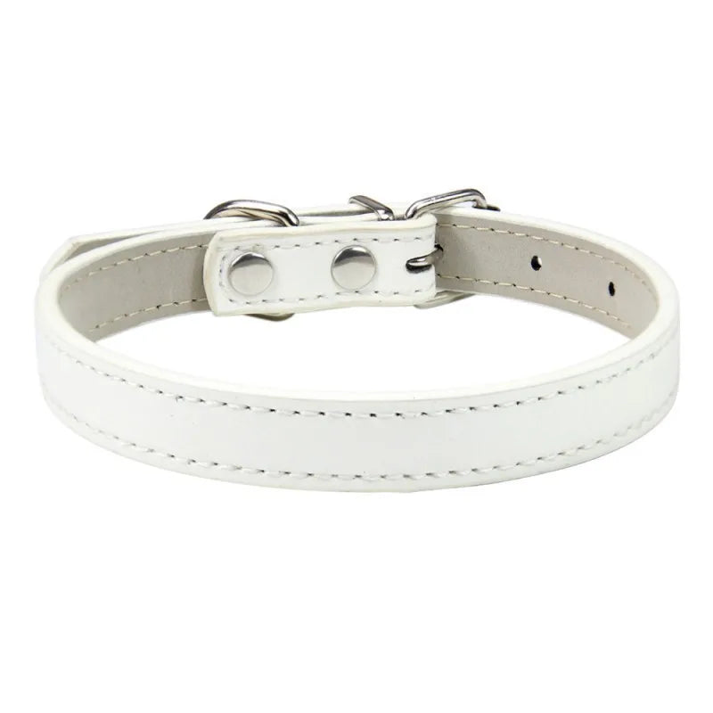 1PC Popular Adjustable Colorful Pet Collars - ProPawPet.com