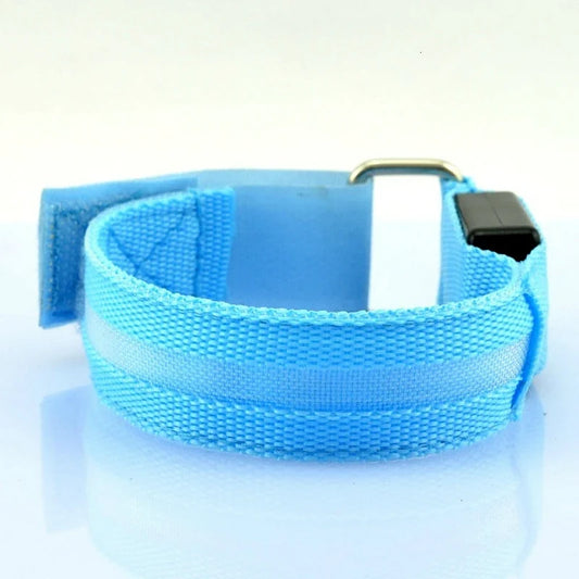 4pcs USB LED Horse Legging Bands Horse - ProPawPet.com