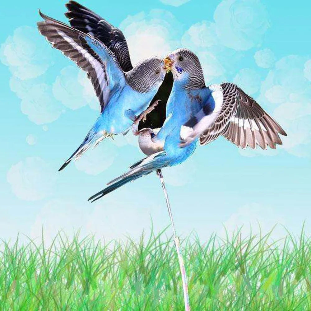 1Pc Parrot Leg Ring Ankle Anklet For Bird - ProPawPet.com