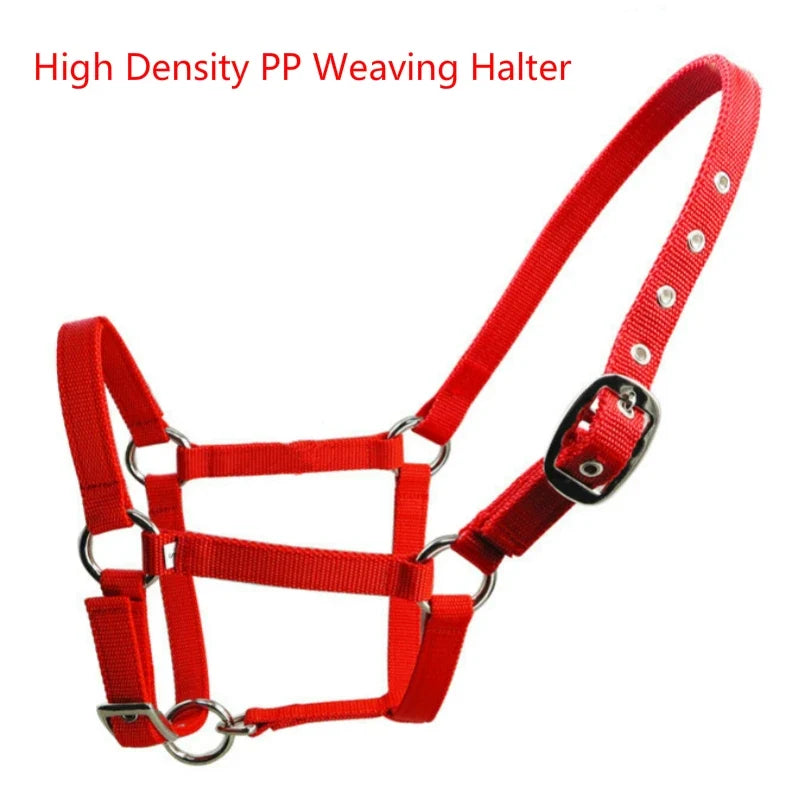 High density PP Weaving Halter Thickened - ProPawPet.com