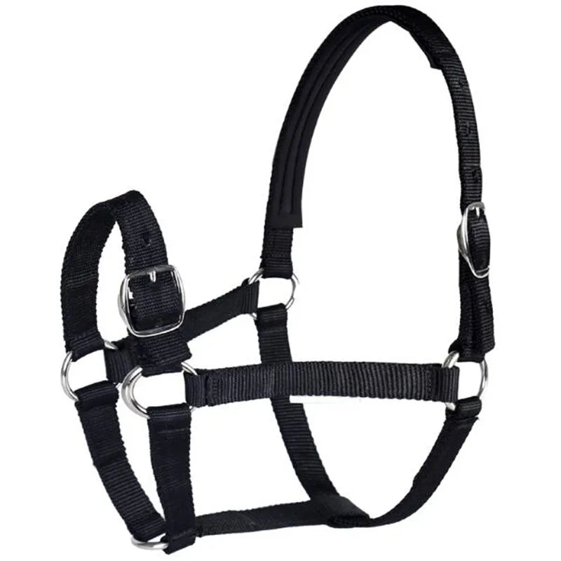Cavassion Directly Sale Anti-friction - ProPawPet.com
