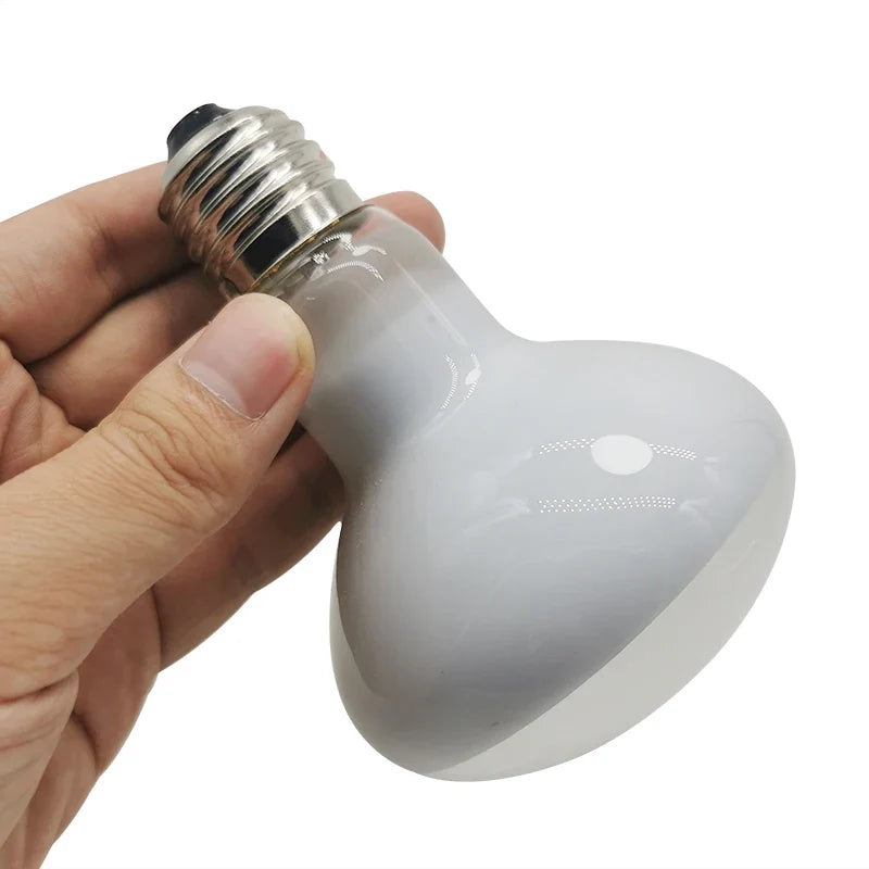1 Pcs Reptile Heating Lamp 220V Heater Bulb - ProPawPet.com
