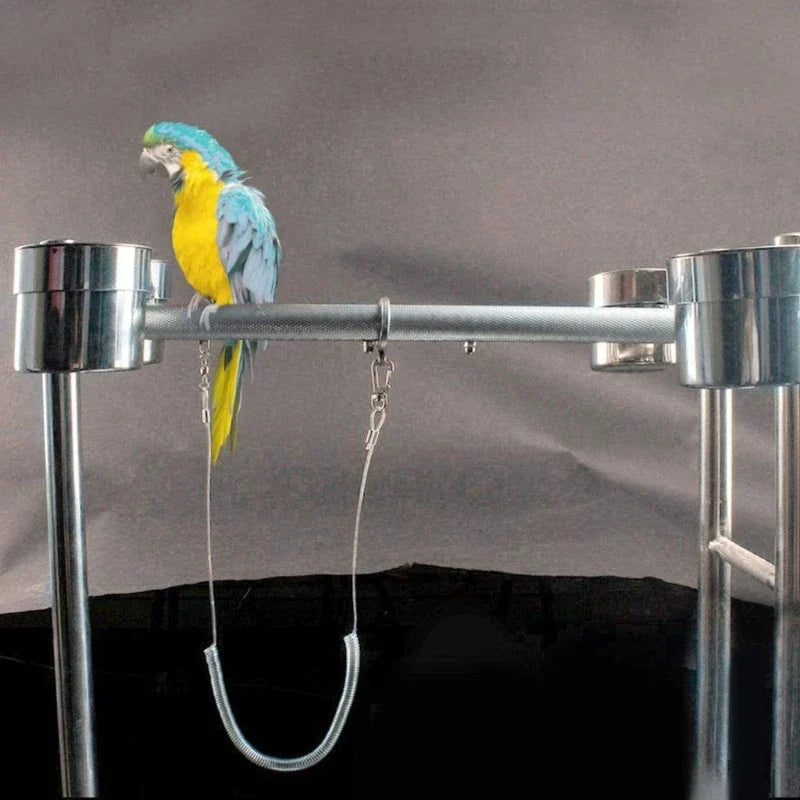 6m Flexible Parrot Bird Harness Leash with - ProPawPet.com