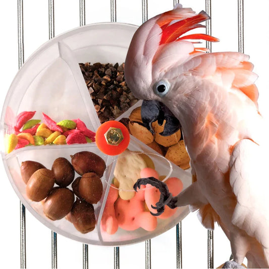 Rotate Parrot Foraging Toy Creative Chewing - ProPawPet.com