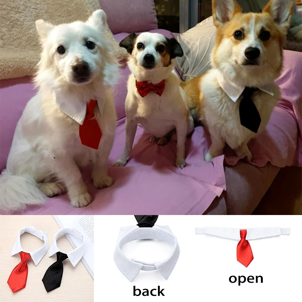 1PC Pet Dog Cat Formal Tie Adjustable - ProPawPet.com