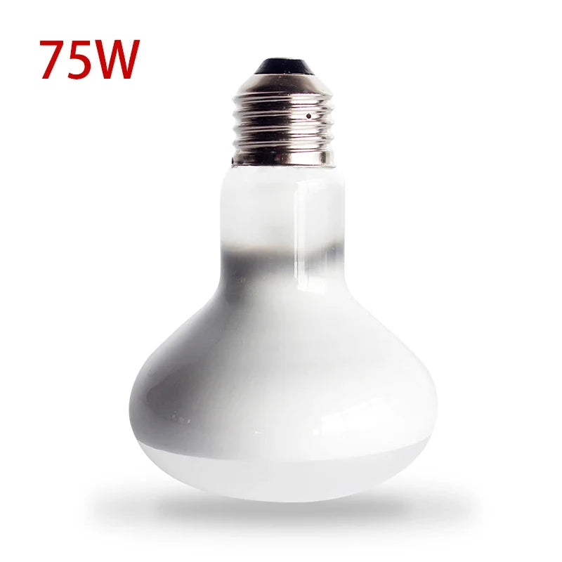 Reptile Heating Lamp 220v Heater Bulb Uva UVB Turtle Lizard – 5 Colors