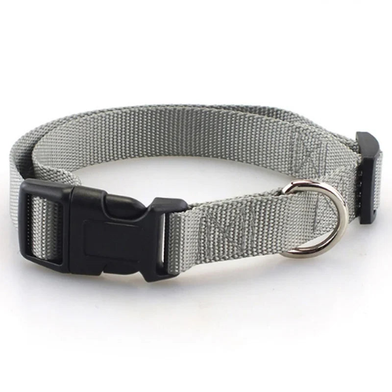Adjustable Superior Nylon Dog Collar Heavy - ProPawPet.com