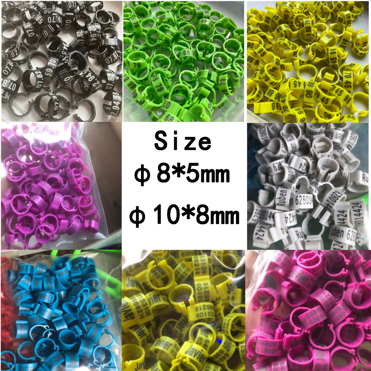 /retail C8 8mm Bird Dove Pigeon Plastic Leg - ProPawPet.com