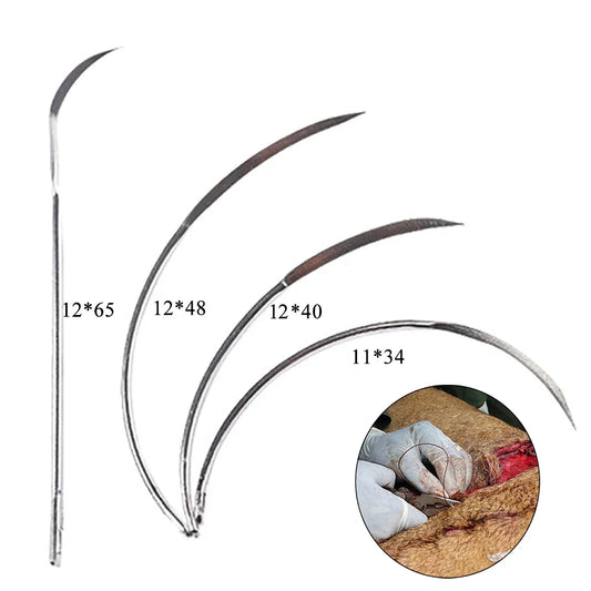 10pcs One Bag Suture Needle Pet Pig Sheep - ProPawPet.com