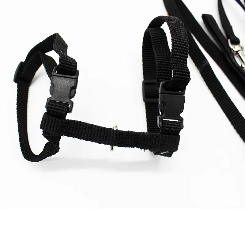 5 Color Adjustable Cat Collar for Cozy Nylon Rabbit Kitten – photo 4