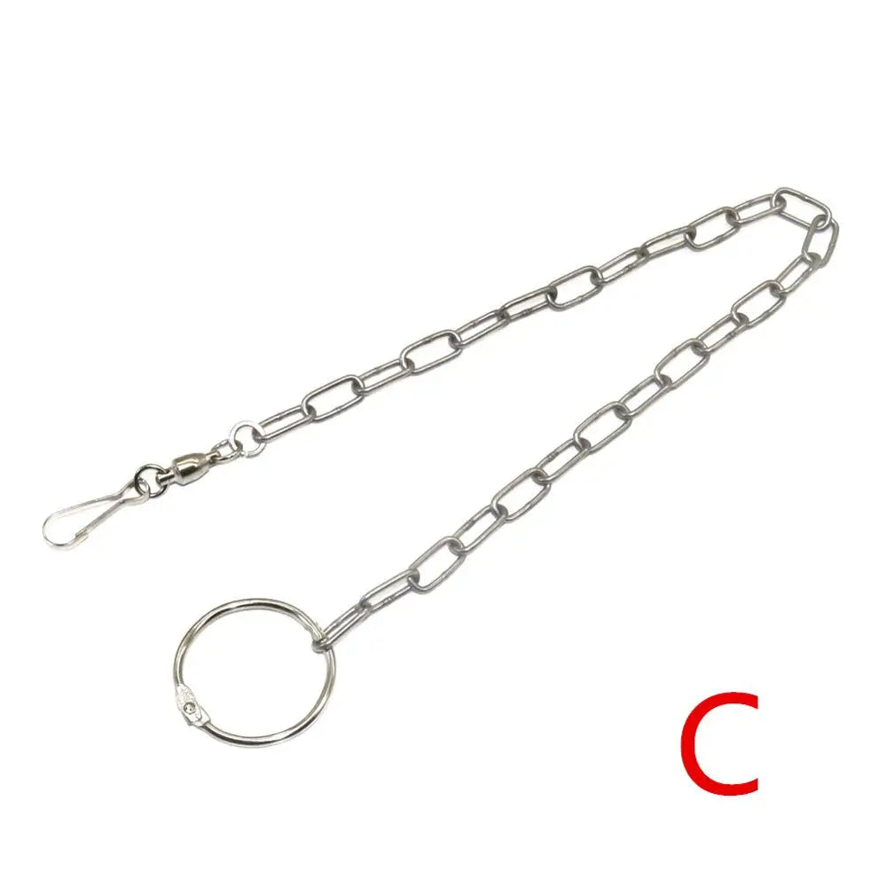 Parrot Leg Ring Ankle Foot Chain Bird – Training & Behavior
