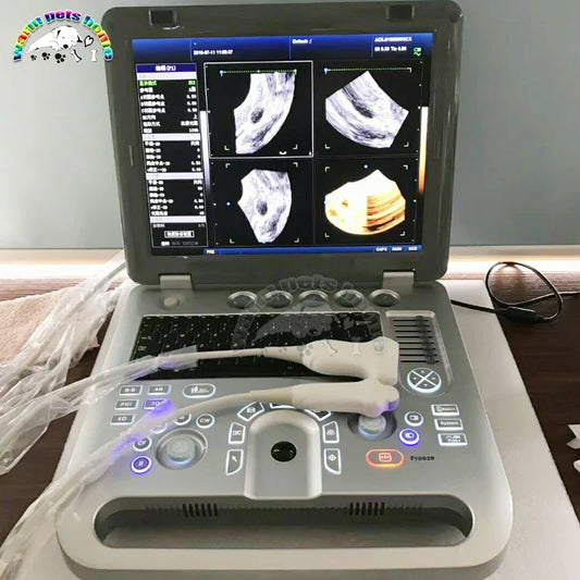 3D Color Doppler Ultrasound Ma for Dog Cat - ProPawPet.com