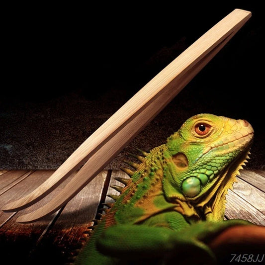 Long Super Reptile Wood Tweezers Clips 28 cm - ProPawPet.com