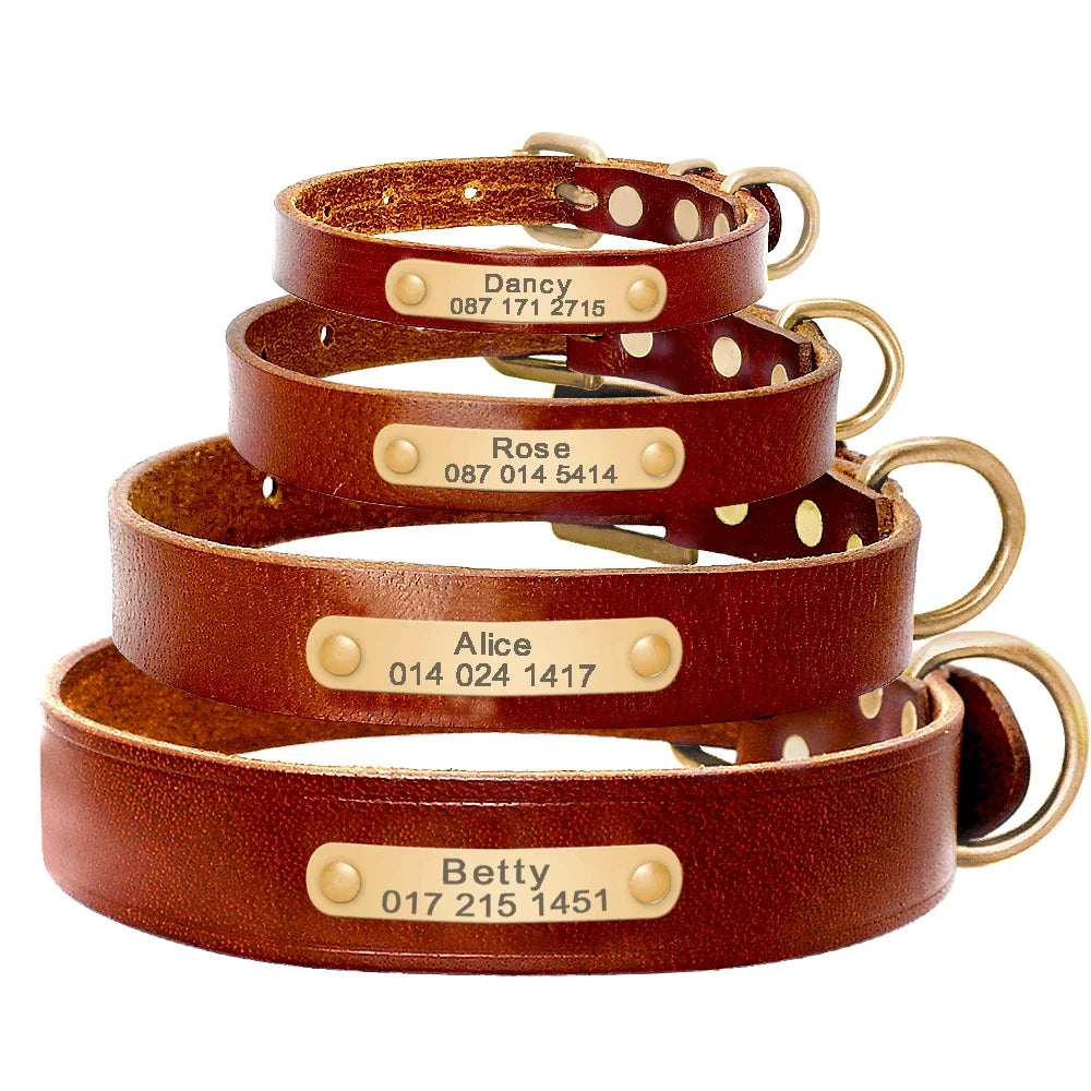 Personalized Dog ID Collar Genuine Leather - ProPawPet.com