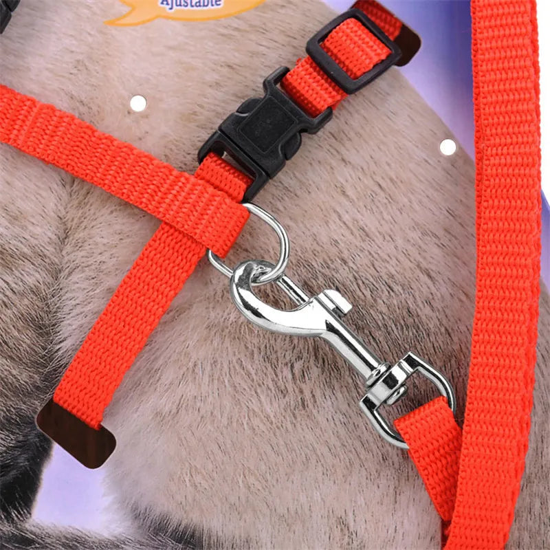 5 Color Adjustable Cat Collar for Cozy Nylon Rabbit Kitten – photo 3