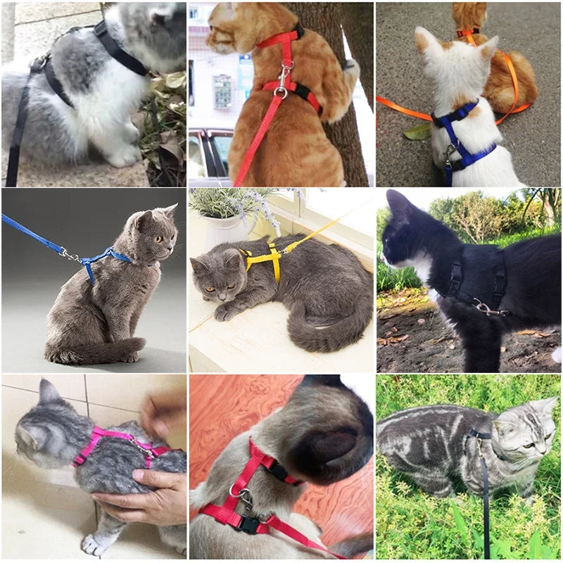 5 Color Adjustable Cat Collar for Cozy Nylon Rabbit Kitten – photo 5