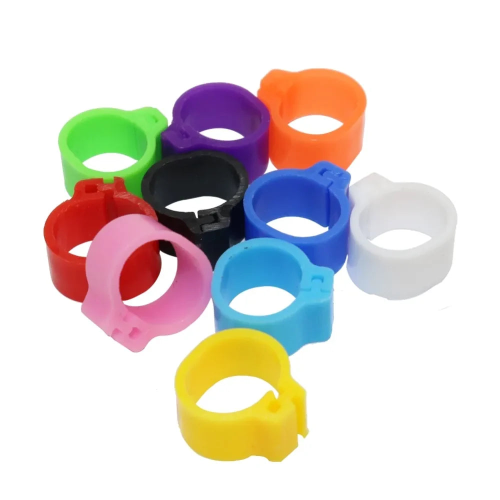 Multicolor Pigeons Rings 10mm Bayonet - ProPawPet.com