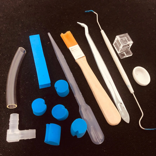 10 in 1 set Acrylic Ant Farm Tools Pet - ProPawPet.com