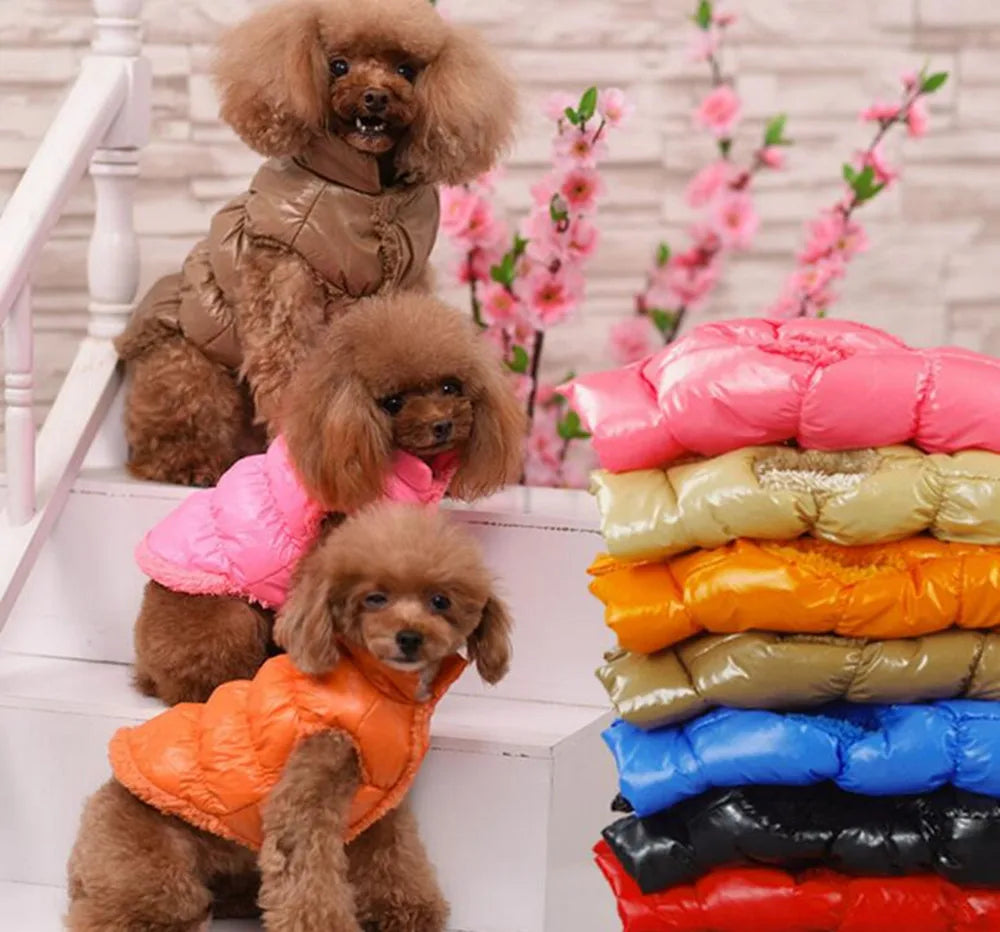 Winter Pet Dog Down Coat Fleece Warm Inside - ProPawPet.com
