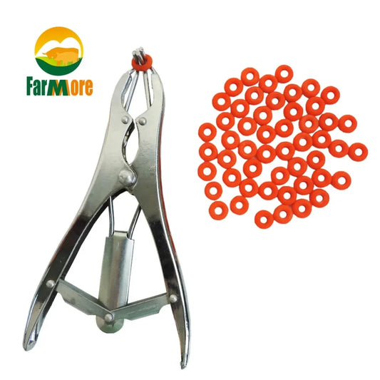 Stainless Steel Sheep Broken Tail Castration - ProPawPet.com